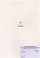 藏品(軸球藻)的圖片